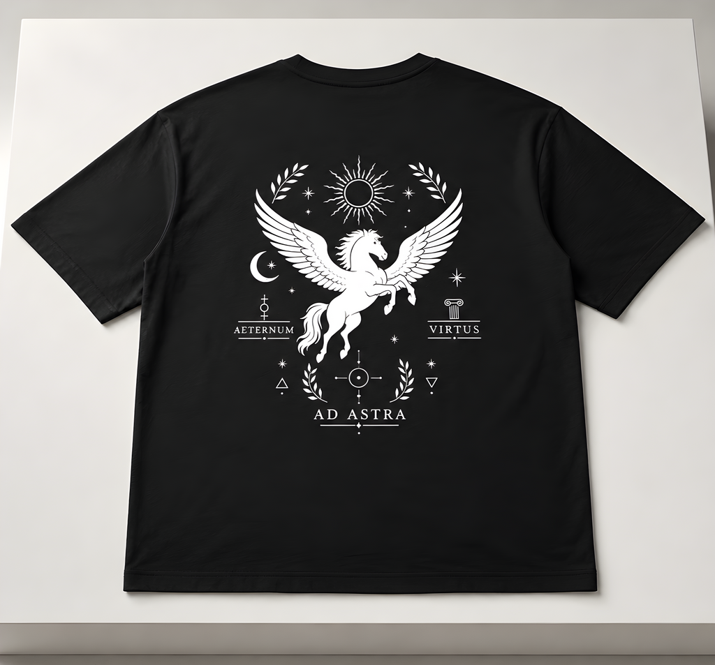 Ad Astra Pegasus Oversize Unisex Tshirt