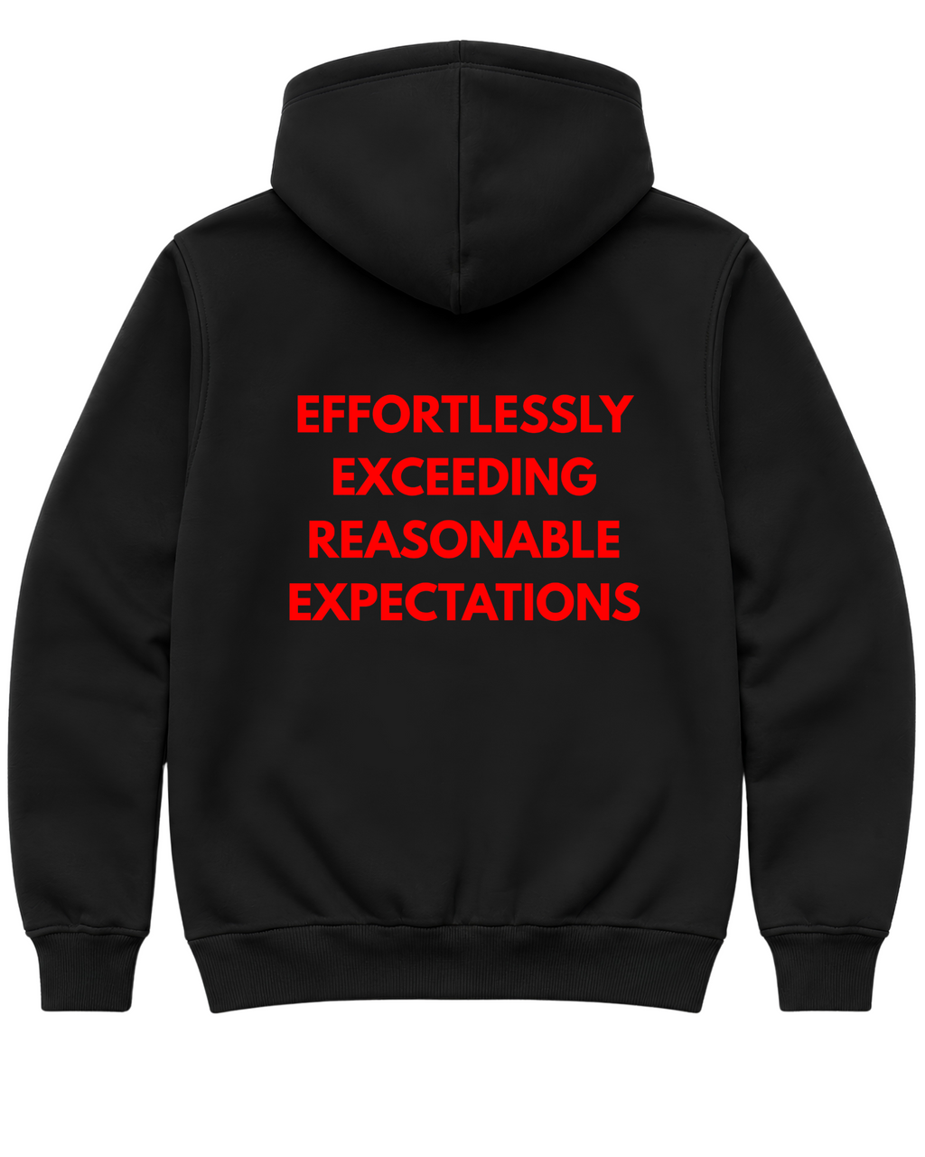 Effortlessly exceeding reasonable expectations Oversize Unisex Hoodie