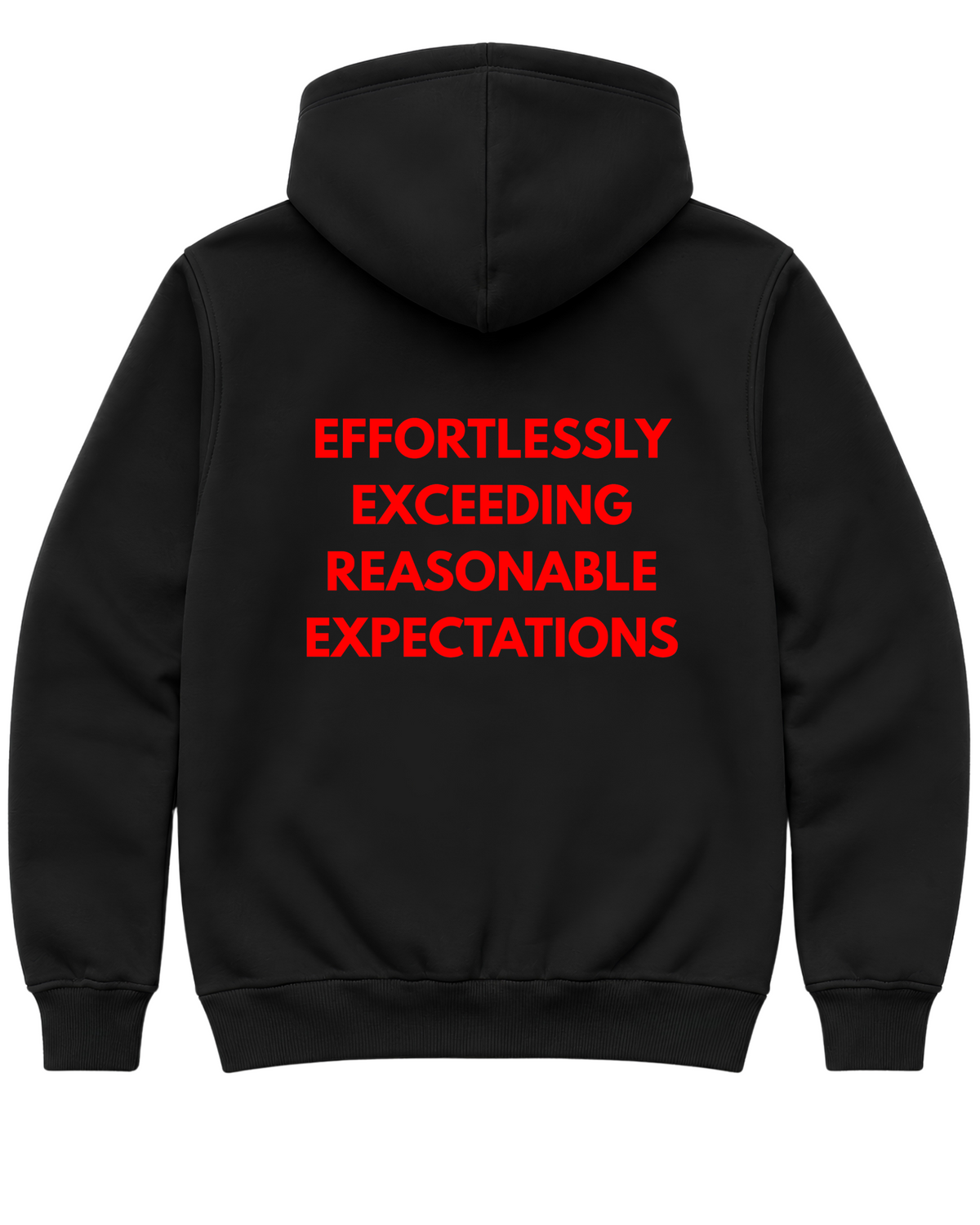 Effortlessly exceeding reasonable expectations Oversize Unisex Hoodie